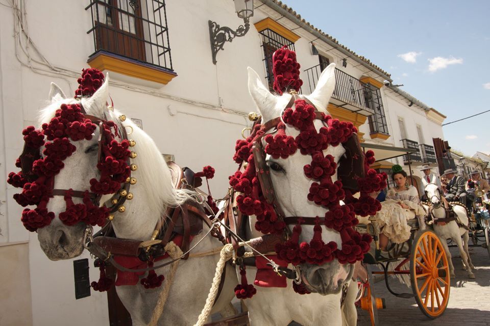 Andalucía y Caminos de Pasión