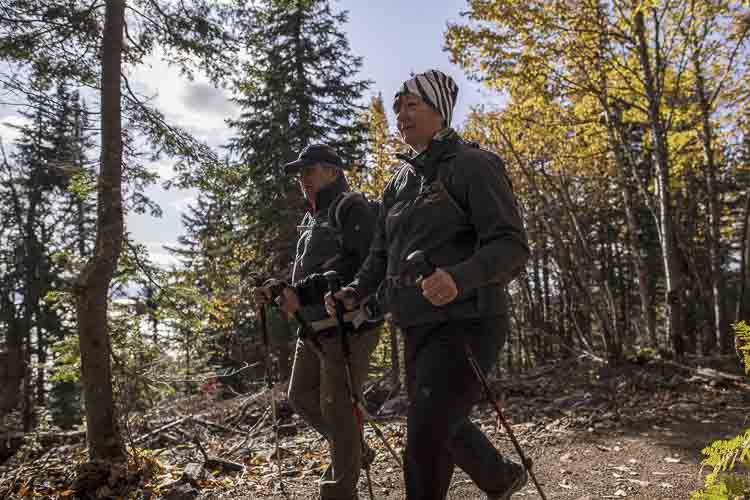 Compostelas de Quebec