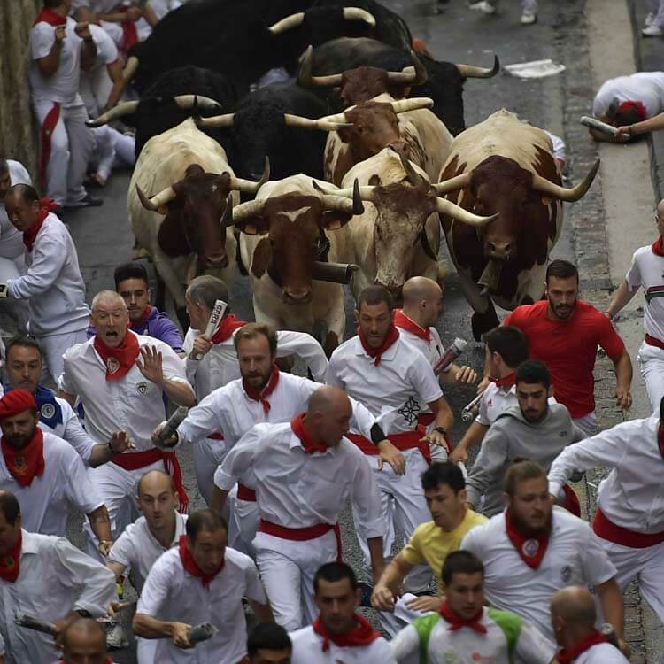 La gente corre delante de los toros en el Festival de San Fermín Pamplona Crédito Británica.com