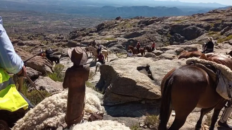 cabalgata brocheriana