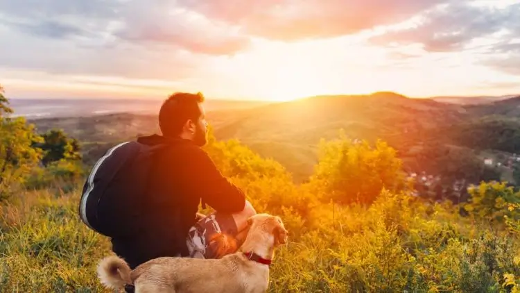 Rutas de Peregrinación que Aceptan Mascotas