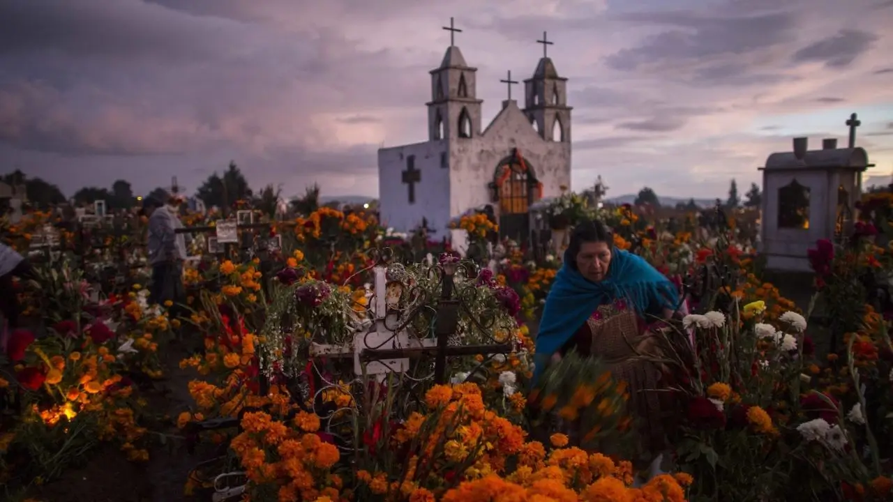 Las flores tradicionales llamadas cempasúchitles se colocan en altares y tumbas en todo México y el extranjero. Miguel Tovar/LatinContent/Getty Images