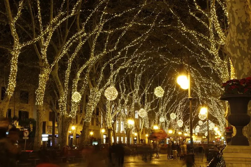 Iluminación navideña en el Paseo del Borne de Palma durante la navidad en Mallorca, con árboles cubiertos de luces cálidas y peatones paseando al anochecer.