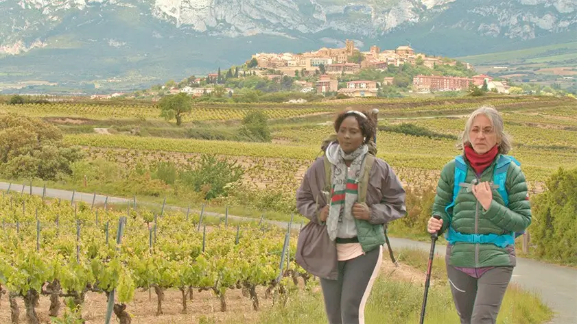 Esta imagen muestra a dos personas caminando por los viñedos cerca de Laguardia, en la provincia de Álava parte del camino ignaciano