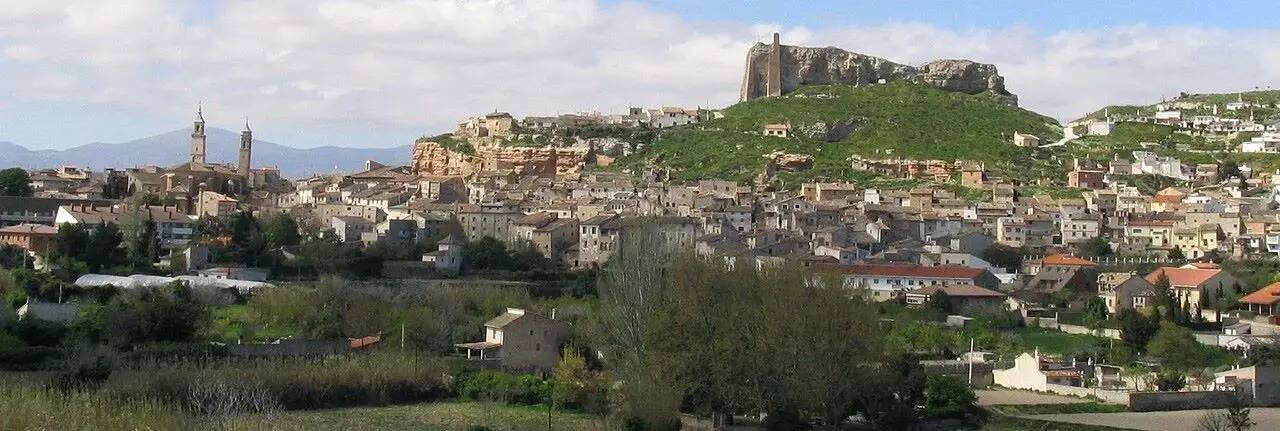 Esta imagen muestra una vista panorámica de la ciudad de Borja, situada en la provincia de Zaragoza, Aragón.El elemento destacado en la colina es el Castillo de la Zuda, una fortaleza medieval que domina el municipio.
