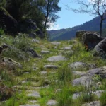 La imagen muestra un tramo empedrado del Camino de San Rosendo (calzada romana del siglo I), posiblemente a su paso por el Parque Natural Lobios en Galicia