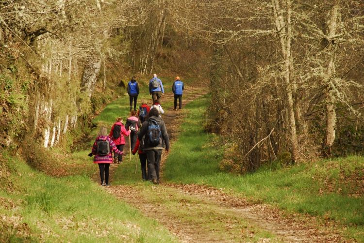 Esta imagen muestra a un grupo de personas caminando el camino de san rosendo por un sendero rodeado de árboles y vegetación verde