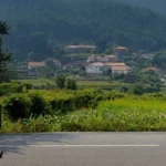 La imagen muestra el tercer día de lo Caminos de Fátima (también llamado Camino del Norte al Centro), en la etapa que conecta Ponte de Lima con Tamel (S. Pedro de Fins), con un recorrido de 24 kilómetros por zonas rurales y agrícolas de Portuga